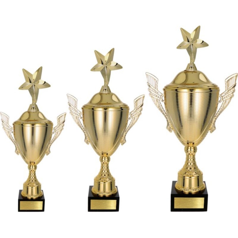 Komplet pucharów NT733 z figurką gwiazda uniwersalne 45-39-34 cm