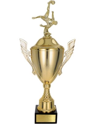 złoty Puchar z figurką piłka nożna - trofeum do twojej dyscypliny