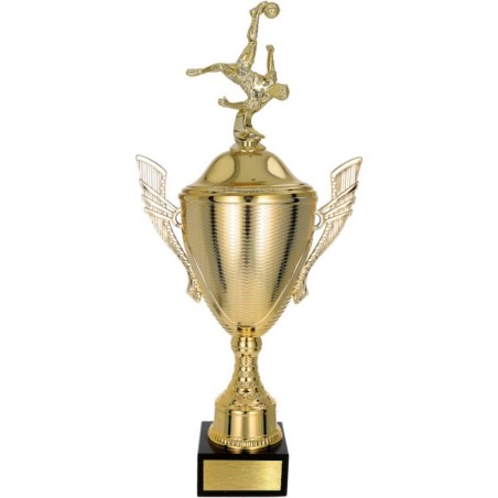 złoty Puchar z figurką piłka nożna - trofeum do twojej dyscypliny