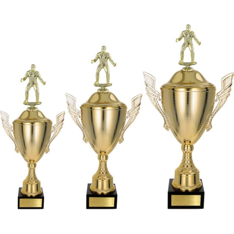 Zestaw pucharów NT733 z figurką zapaśnik zapasy judo 49-43-38 cm