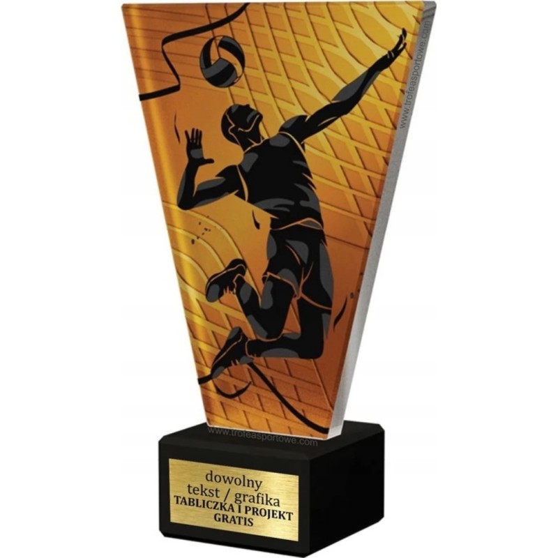 Szklana Statuetka Siatkówka z Grawerem | Nowoczesne Trofeum Sportowe i Biznesowe Szklana Statuetka Siatkówka z Grawerem | Nowoczesne Trofeum Sportowe i Biznesowe