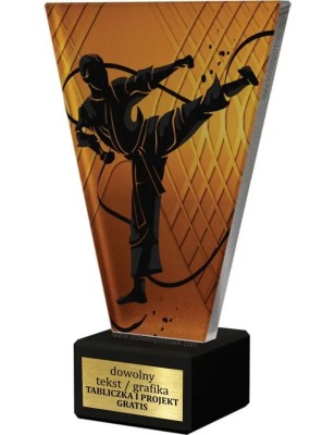 Szklana Statuetka karate z Grawerem | Nowoczesne Trofeum Sportowe i Biznesowe