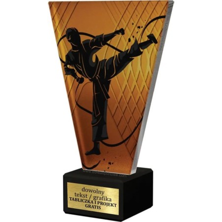 Szklana Statuetka karate z Grawerem | Nowoczesne Trofeum Sportowe i Biznesowe