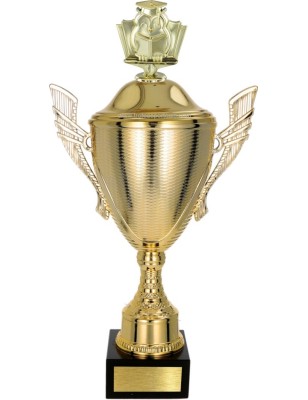 złoty Puchar z figurką edukacja - trofeum do twojej dyscypliny