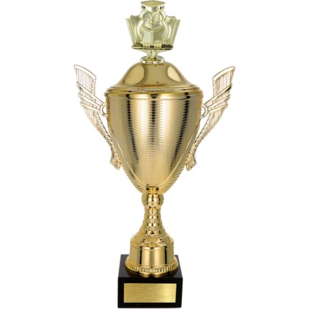 złoty Puchar z figurką edukacja - trofeum do twojej dyscypliny