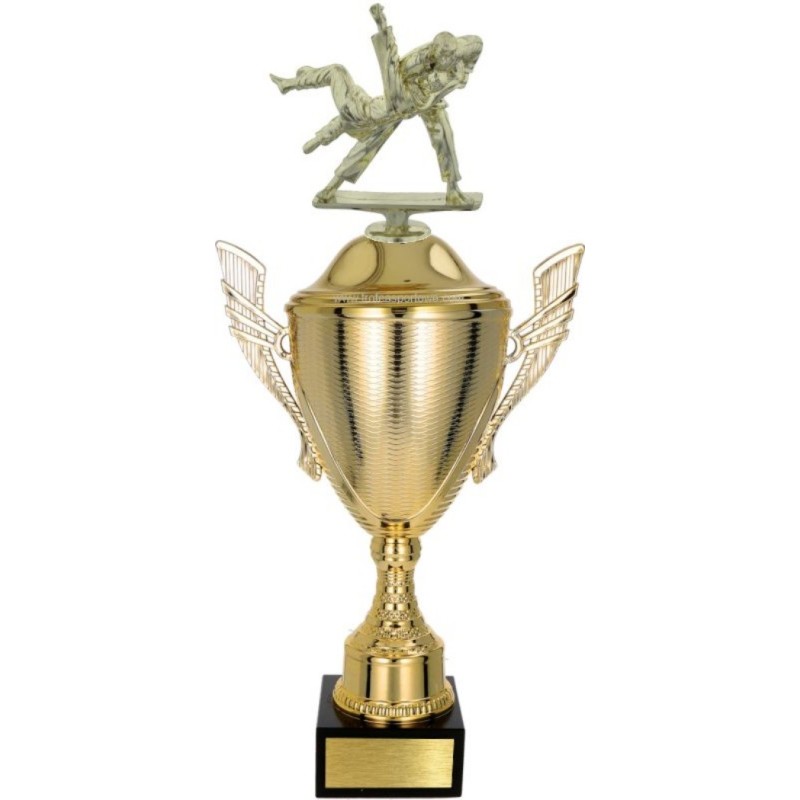 Puchar NT733 z figurką judoka judo