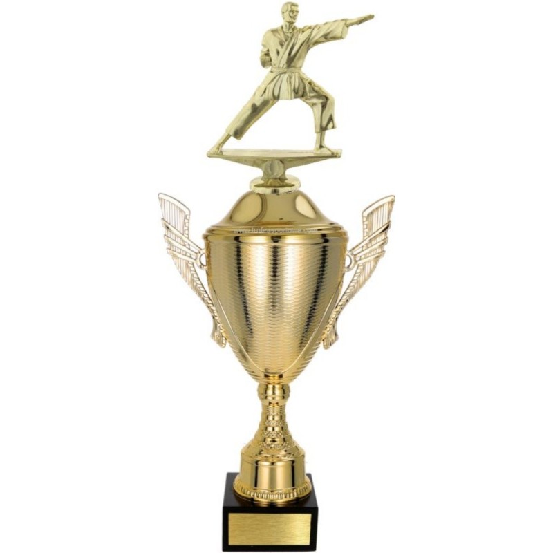 Puchar NT733 z figurką karateka karate