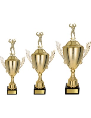 Złoty zestaw Pucharów z figurką kulturystyka - komplet trzech sztuk