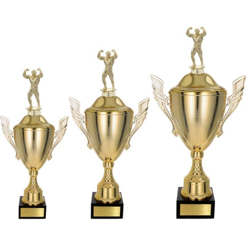 Komplet pucharów NT733 z figurką kulturysta kulturystyka 49-43-38 cm