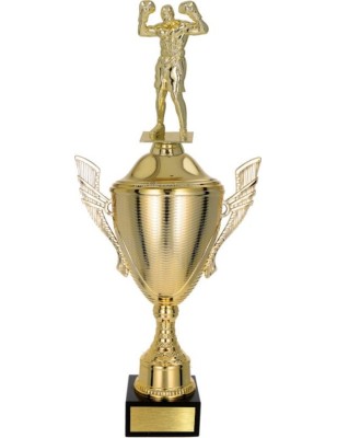 złoty Puchar z figurką boks - trofeum do twojej dyscypliny