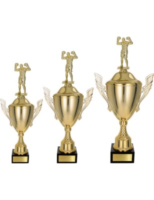 Złoty zestaw Pucharów z figurką boks - komplet trzech sztuk