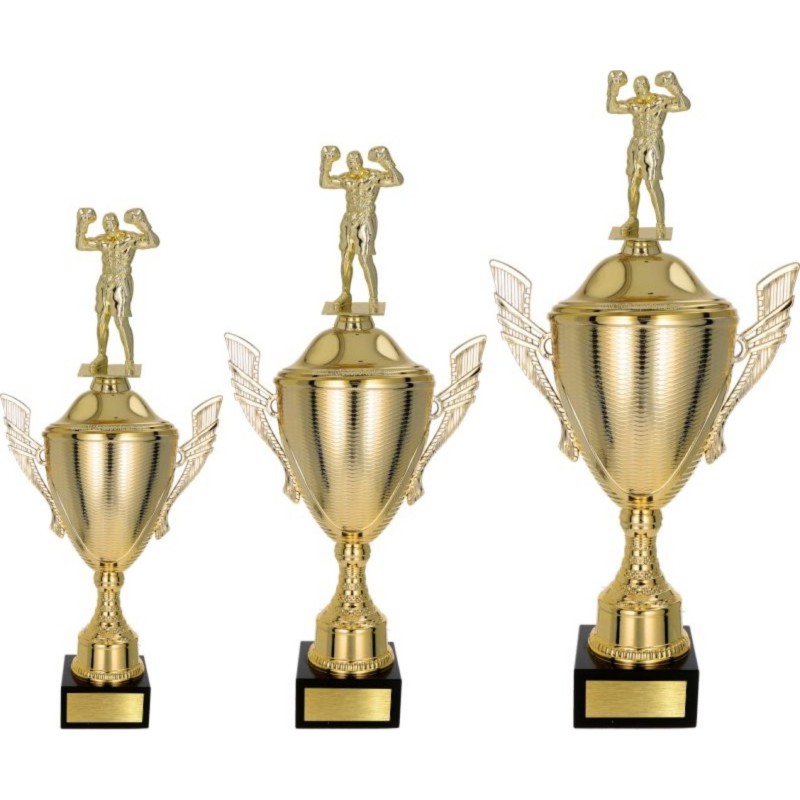 Zestaw pucharów NT733 z figurką bokser boks 45-39-34 cm