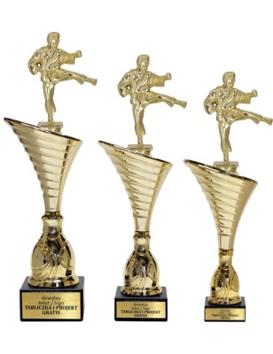 Złoty zestaw 3 pucharów z figurką karate - Seria NT1000 do ponad 100 dyscyplin