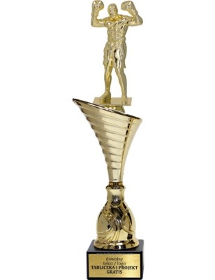Złoty puchar z figurką boks - NT1000 puchar tematyczny z dyscypliną