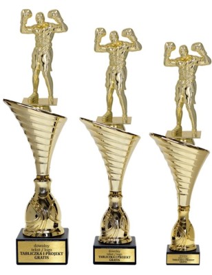 Złoty zestaw 3 pucharów z figurką boks - Seria NT1000 do ponad 100 dyscyplin