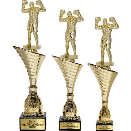 Złoty zestaw 3 pucharów z figurką boks - Seria NT1000 do ponad 100 dyscyplin