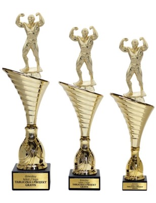 Złoty zestaw 3 pucharów z figurką kulturystyka - Seria NT1000 do ponad 100 dyscyplin