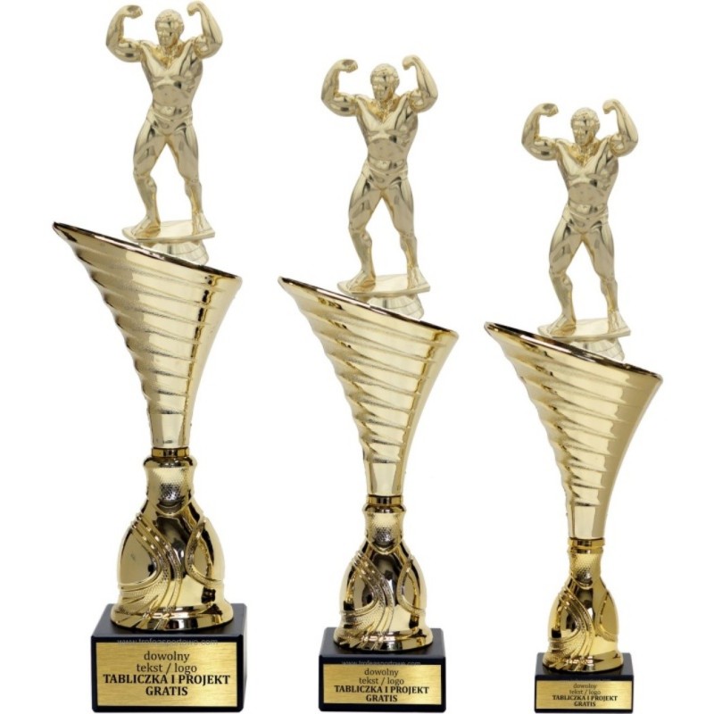 Zestaw pucharów NT1000 z figurką kulturysta kulturystyka 34-31-30 cm