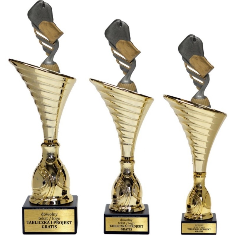 Zestaw pucharów NT1000 z figurką boks sztuki walki 34-31-30 cm