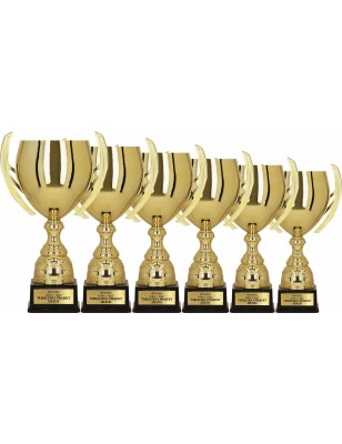 Puchar sportowy 1059 Złoty 6 wysokości