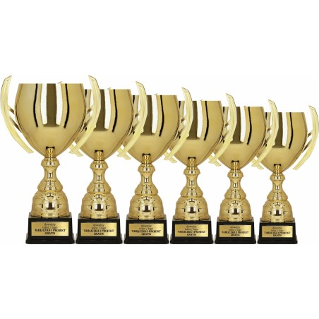 Puchar sportowy 1059 Złoty 6 wysokości