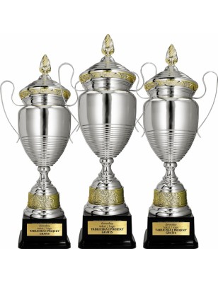 Okazały Puchar sportowy 1072 Złoto-srebrny 3 wysokości