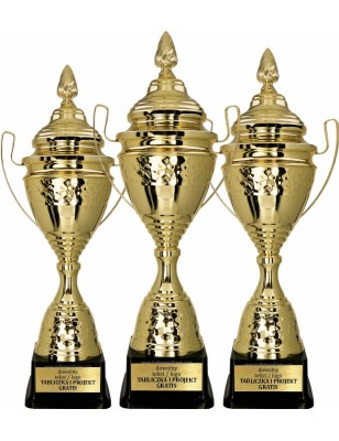 Artystyczny Puchar sportowy 1073 Złoty 3 wysokości
