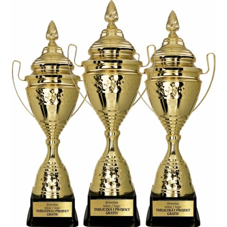 Artystyczny Puchar sportowy 1073 Złoty 3 wysokości