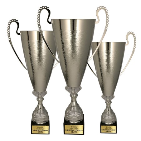 Okazały Puchar sportowy 1077 Srebrny 3 wysokości