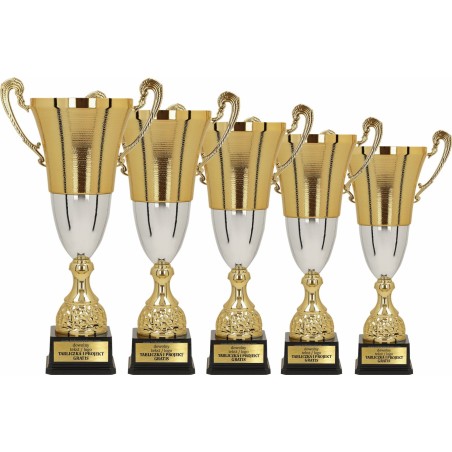 Puchar sportowy 2071 Złoto-srebrny 5 wysokości