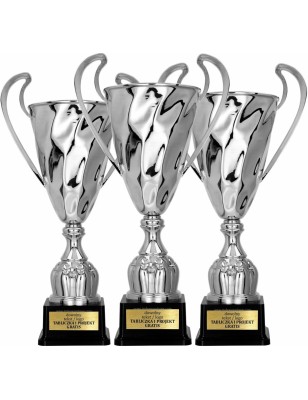 Puchar sportowy 2075 Srebrny 4 wysokości