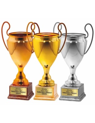 25136 | puchar na marmurowej podstawie