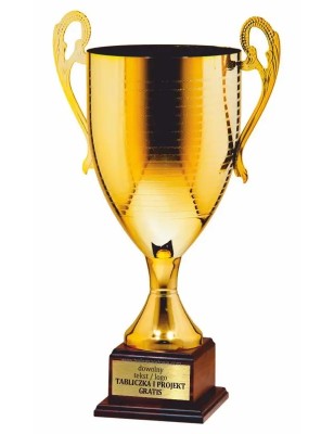 Puchar 24101 duży na podium