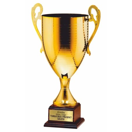 Puchar 24101 duży na podium