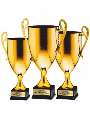 Klasyczny Puchar 24103 złoty turniejowy
