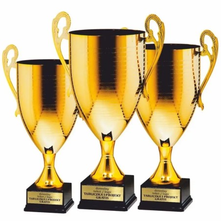 Klasyczny Puchar 24103 złoty turniejowy