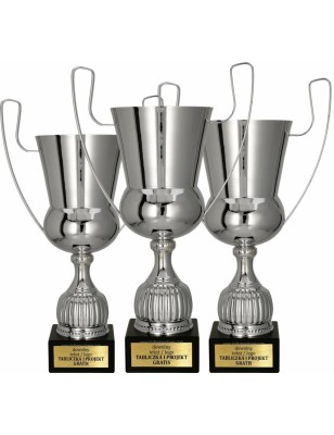 Puchar sportowy 2092 Srebrny 3 wysokości