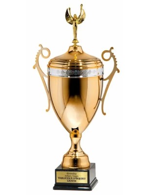 Puchar 50852022 złoto-srebrny