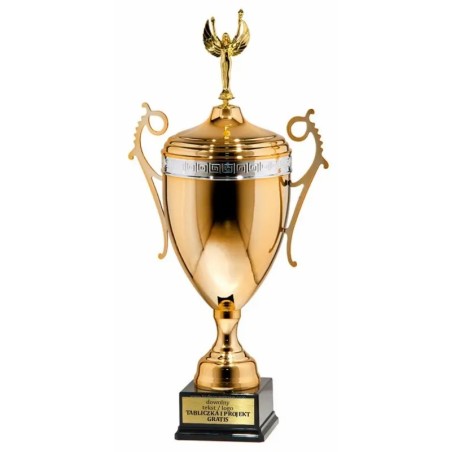 Puchar 50852022 złoto-srebrny