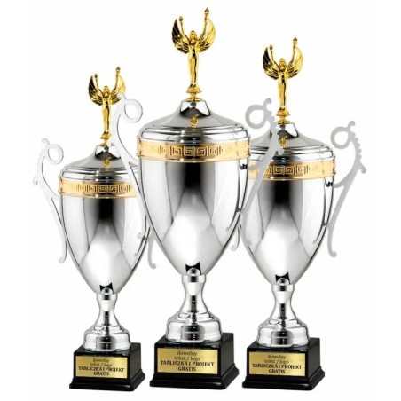 Puchar 5070\2022 srebrno-złoty z pokrywką i z wiktorią