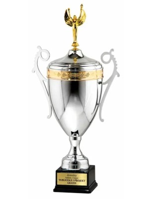 Puchar 50702022 srebrno-złoty