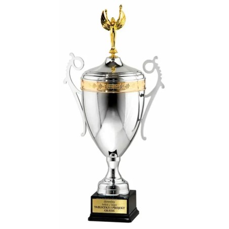 Puchar 50702022 srebrno-złoty