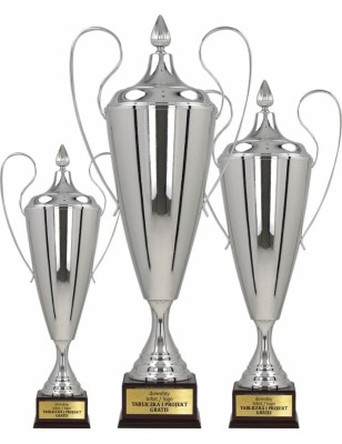 Srebrny puchar sportowy 1042-N – 3 wysokości