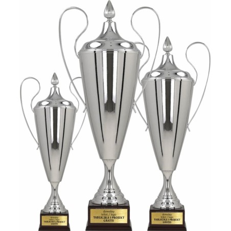 Srebrny puchar sportowy 1042-N – 3 wysokości