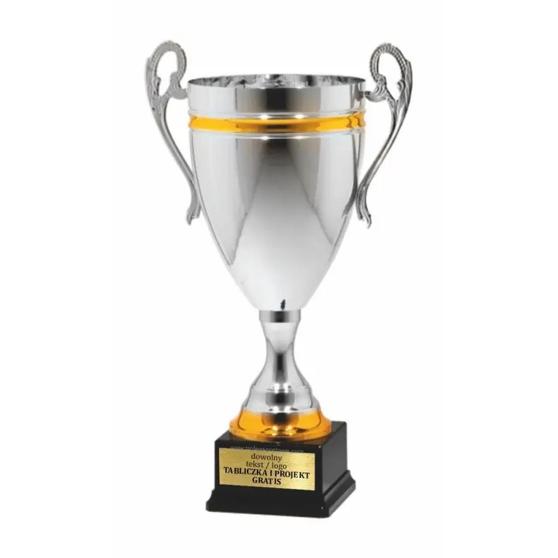 Reprezentatywny Srebrno-złoty puchar 25112