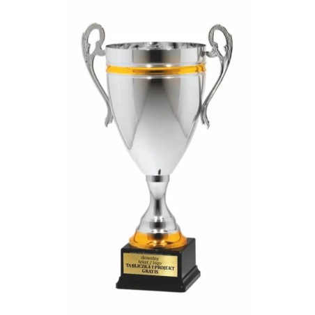 25112 | puchar srebrno-złoty