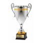 Reprezentatywny Srebrno-złoty puchar 25112