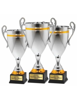 Reprezentatywny Srebrno-złoty puchar 25112