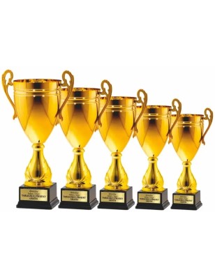 Puchar 25114 na czarnej podstawie z tabliczką w cenie