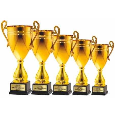 Puchar 25114 na czarnej podstawie z tabliczką w cenie